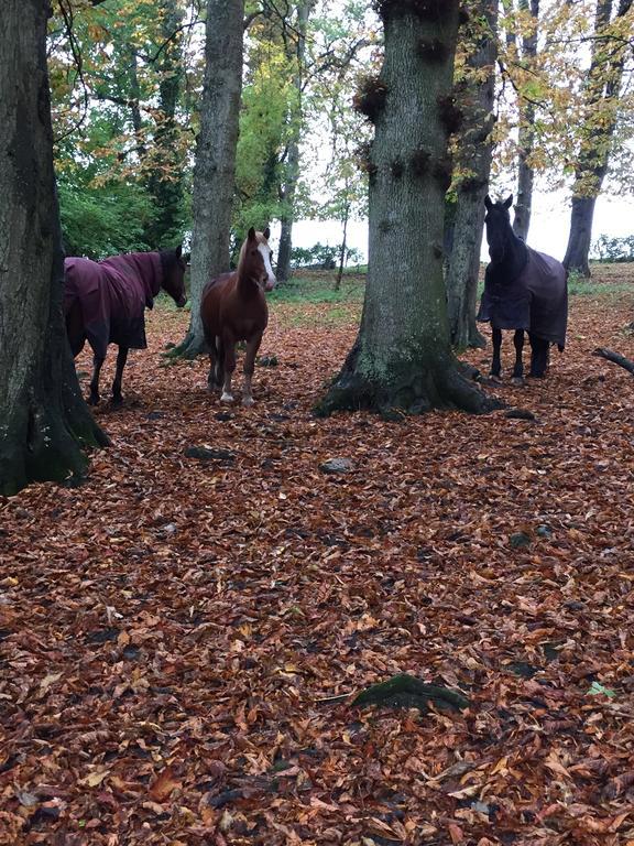 Brookover Farm Villa Frome Esterno foto