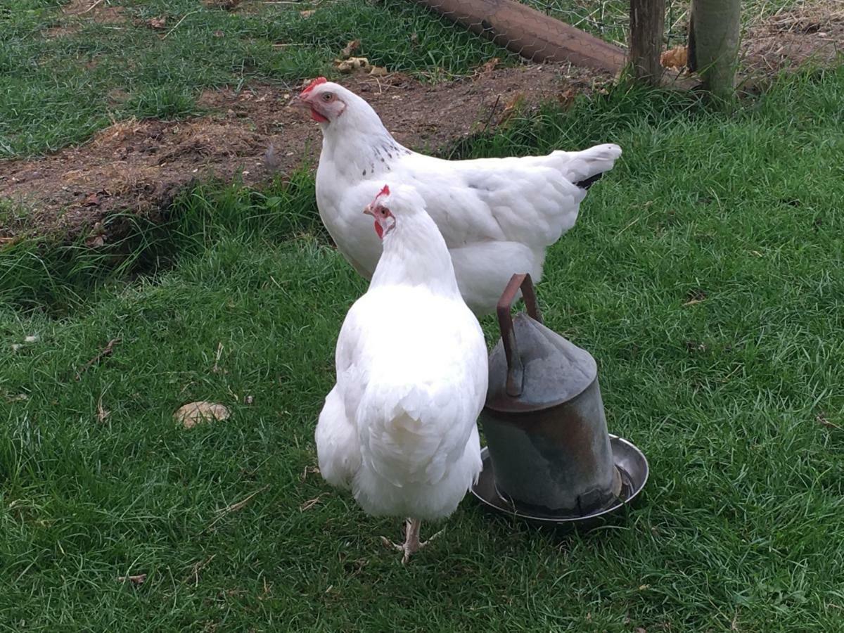 Brookover Farm Villa Frome Esterno foto